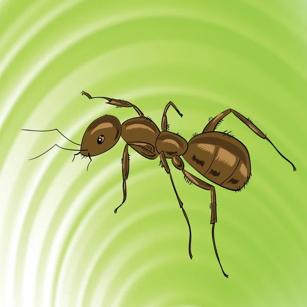 Бурый муравей — стоковый вектор