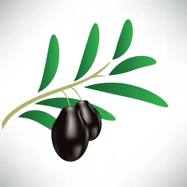 Svarta oliver — Stock vektor