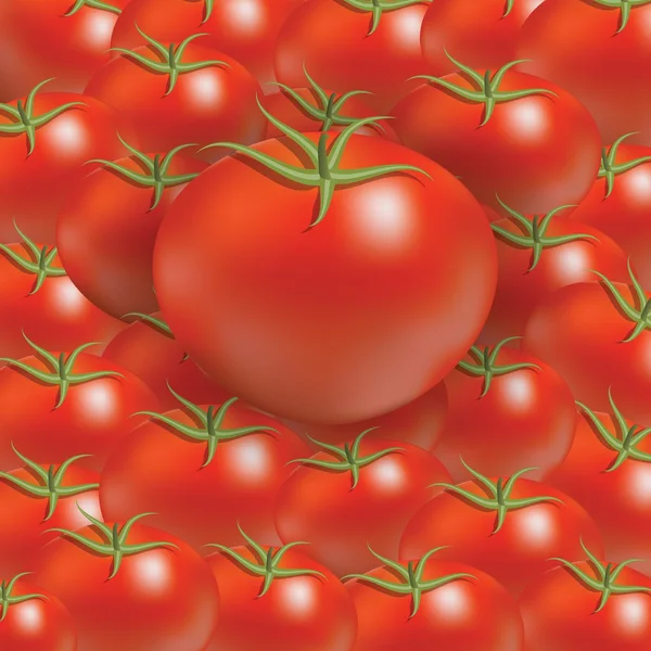 Sfondo pomodoro — Vettoriale Stock