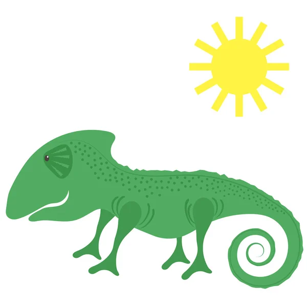 Grünes Chamäleon Und Sonne Isoliert Auf Weißem Hintergrund — Stockvektor