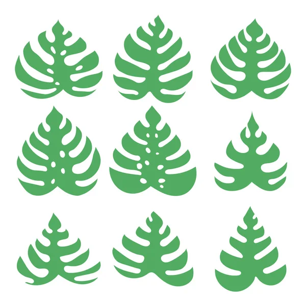 Набір Зелених Листя Монстери Ізольовані Білому Тлі — стоковий вектор