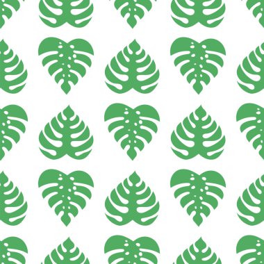 Tropik palmiye yapraklı ikonlar, canavar. Güzel el çizimi egzotik bitkiler. Çiçeksiz arka plan. Beyaz arka planda izole canavarlar. Canavar yaprakları, orman..