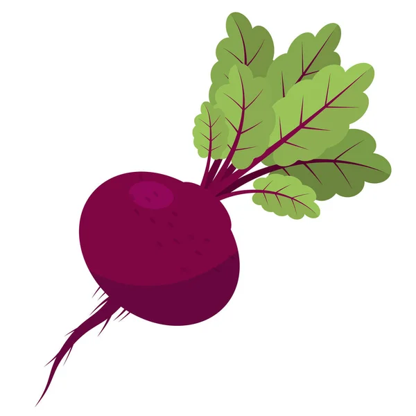 Fresh Beetroot Vegetable Green Leaves White Background — Stock Photo, Image