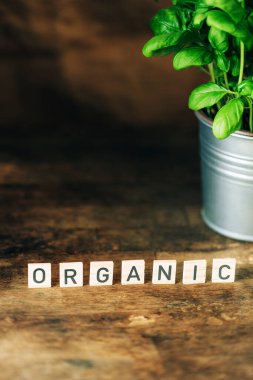 Koyu ahşap arkaplanda taze fesleğen..