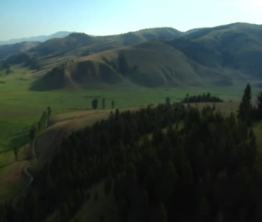 Yeşil Vadi ve orman hava wide shot