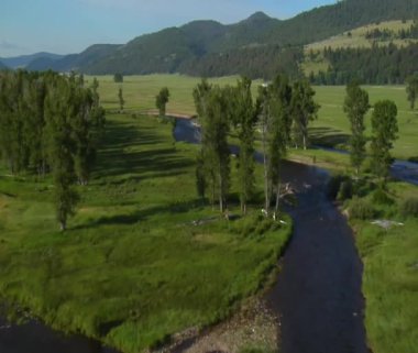 Yeşil Vadi Nehri ile havadan çekim