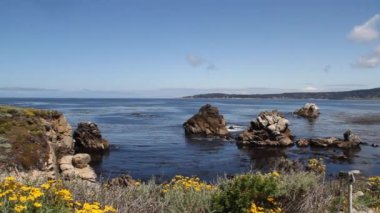 noktası Lobos state park california