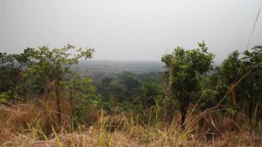 Afrika savana genel bakış