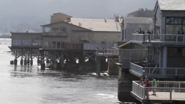 konserve satır monterey California'da