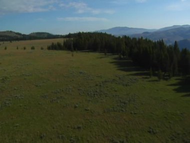 Açık mera orman ve dağ havadan çekim