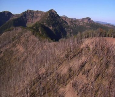 Hava atışı, orman ve dağlar ile ölü ağaçlar