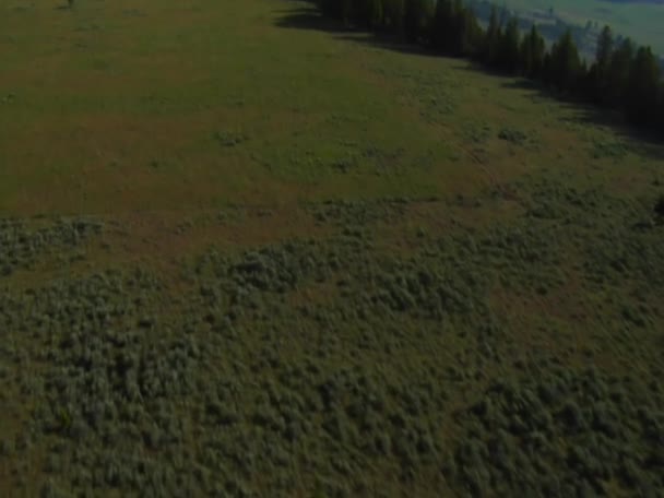 Foto aérea de pastizales abiertos con bosque y montañas — Vídeos de Stock