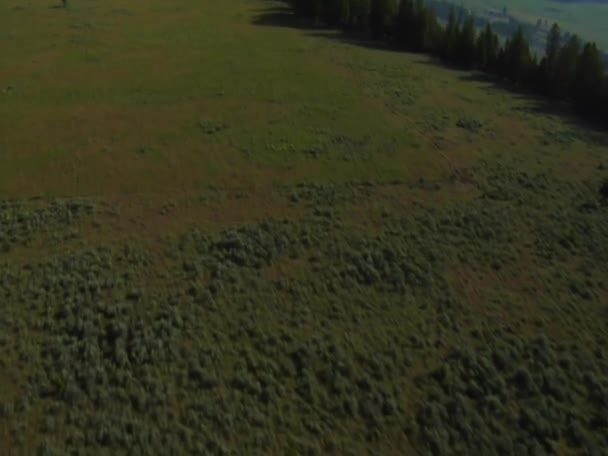 Luftaufnahme von offenem Weideland mit Wald und Bergen — Stockvideo