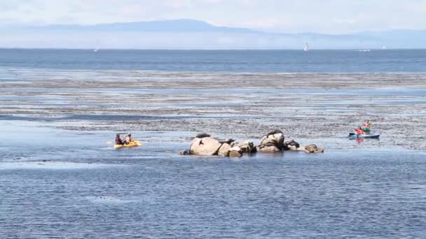 Kayakers deslizar em torno de afloramento de rocha — Vídeo de Stock