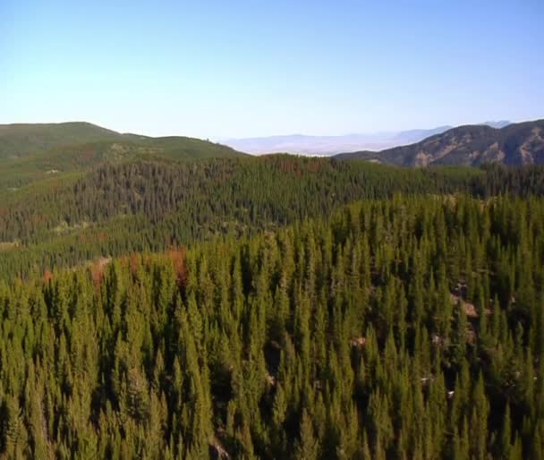 Colpo aereo di foresta e montagne con alberi morti — Video Stock