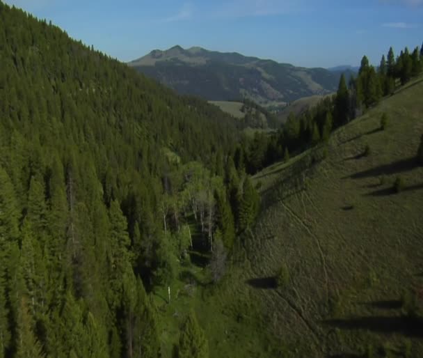 Aerial shot of Green Valley, River, and ranch — Stock Video