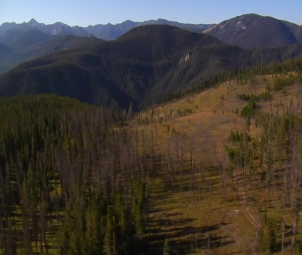 Luchtfoto van bos en bergen met onverharde weg — Stockvideo