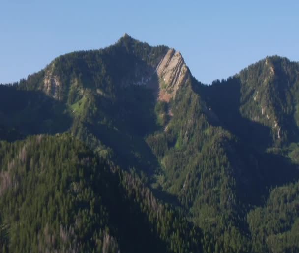 Zoom aérien de la forêt verte et des montagnes 