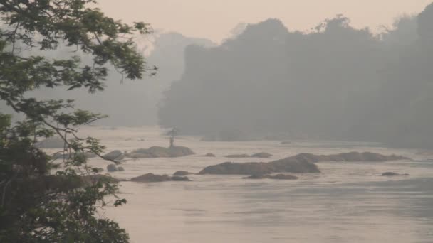 Río selva con neblina — Vídeo de stock