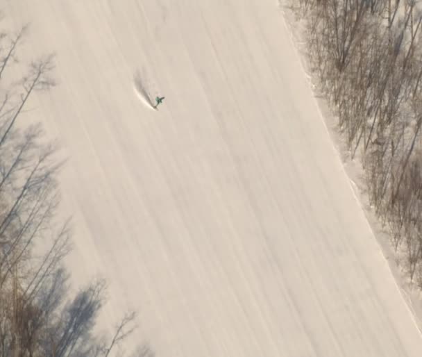 Luchtfoto van skiër — Stockvideo