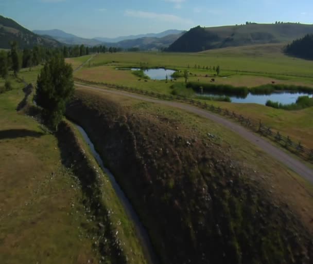 Antenn skott av dalen med sjöar och nötkreatur — Stockvideo