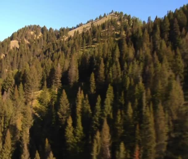 Captura aérea de bosque y ladera de montaña — Vídeos de Stock