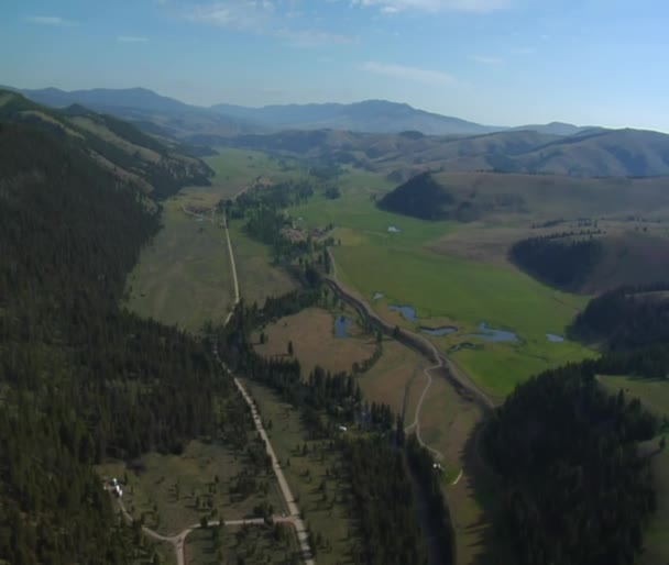 Fotografia aérea de Green Valley e floresta — Vídeo de Stock