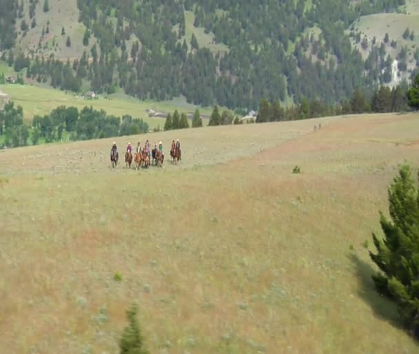 Aerial shot of cowboys on mountaintop — Stock Video