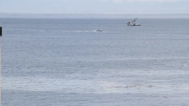 Barco de pesca en el océano con lancha rápida — Vídeos de Stock