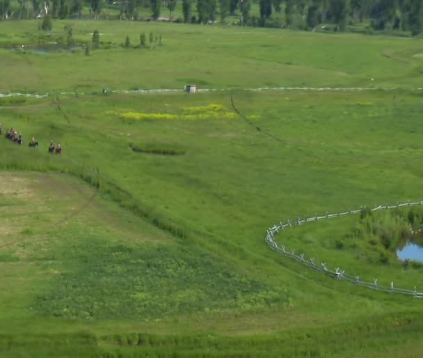 Zdjęcia lotnicze Cowboys w zielonej dolinie — Wideo stockowe