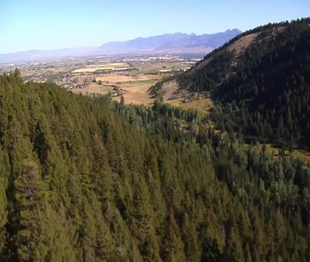 Captura aérea de campos y bosques — Vídeos de Stock