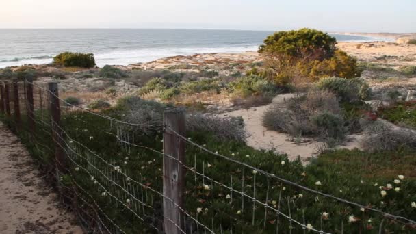 Παλιά φράχτη κοντά ωκεάνια παραλία — 图库视频影像