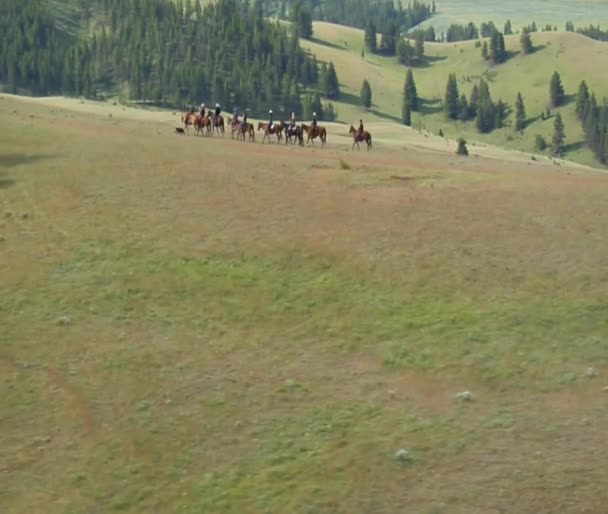 Aerial shot of cowboys on mountaintop — Stock Video