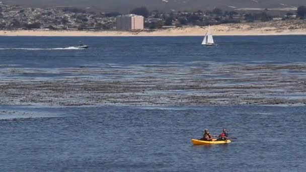 Kayakers paddle, sailboat and speedboat pass — Stock Video