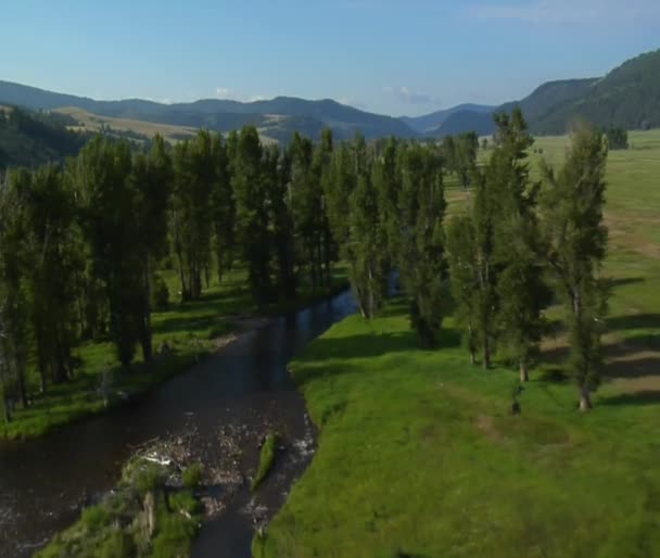 Antenn skott av gröna dalen, river och ranch — Stockvideo