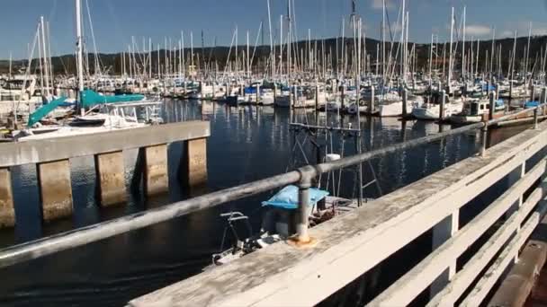 Barcos de pesca y veleros — Vídeos de Stock