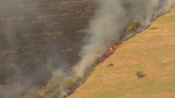 Kömürleşmiş hillside yanıklar — Stok video