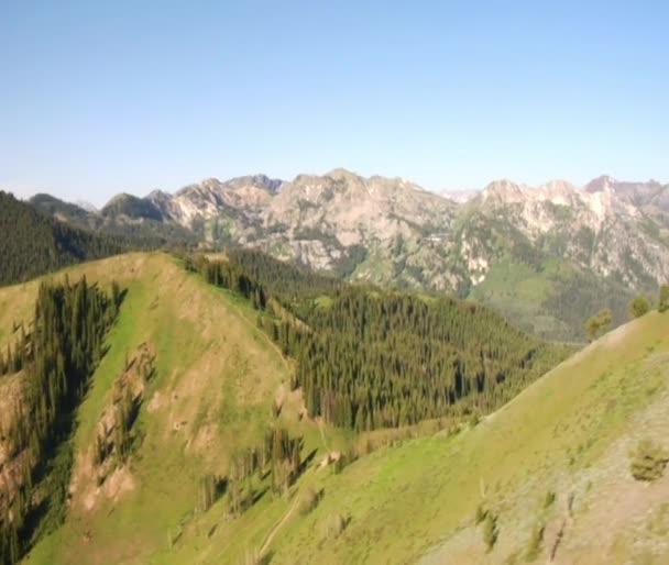 Colpo aereo di foresta verde e montagne e prato — Video Stock