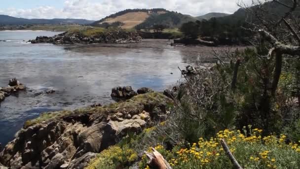 Point Lobos State Park Califórnia — Vídeo de Stock