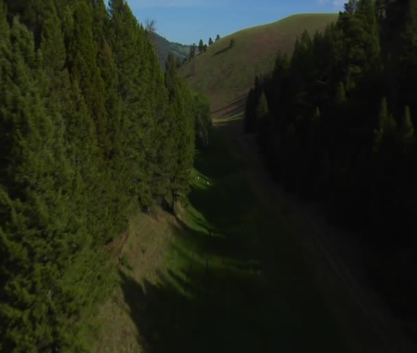 Повітряний знімок вузької долини і гір — стокове відео