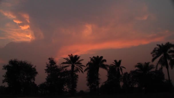 Thunderhead builds over palm trees with African villagers — Stock Video