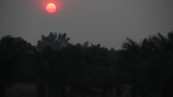 African sunset with fiery pink orb — Stock Video