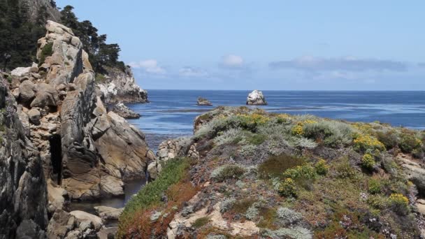 Point Lobos State Park Califórnia — Vídeo de Stock
