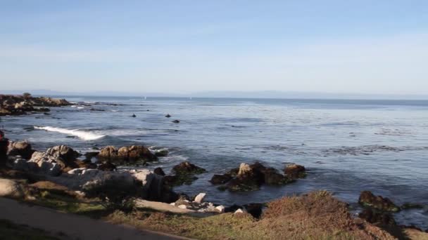 Rocky shoreline Monterey Bay — Stock Video