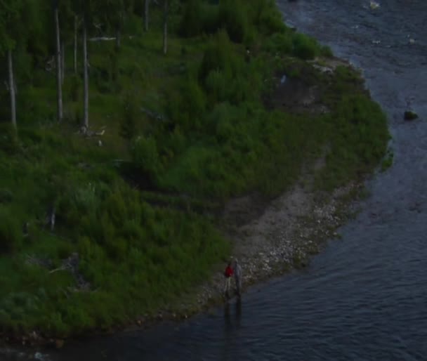 空中拍摄的两个飞渔夫 — 图库视频影像