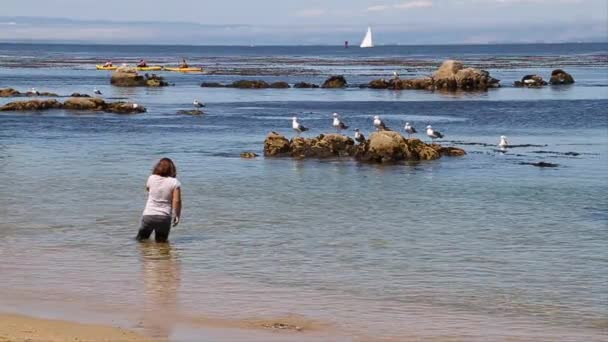Κορίτσι στέκεται στον ωκεανό — Αρχείο Βίντεο