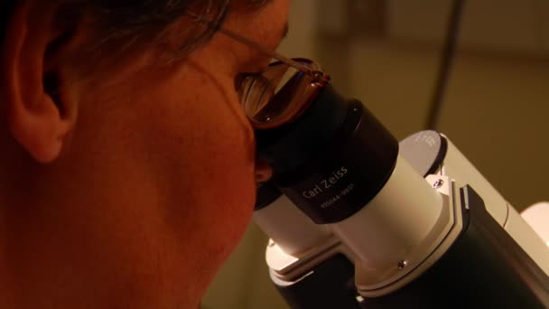 Le scientifique utilise le microscope — Video