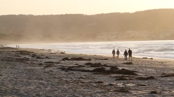 Couples marchent sur la plage au coucher du soleil — Video