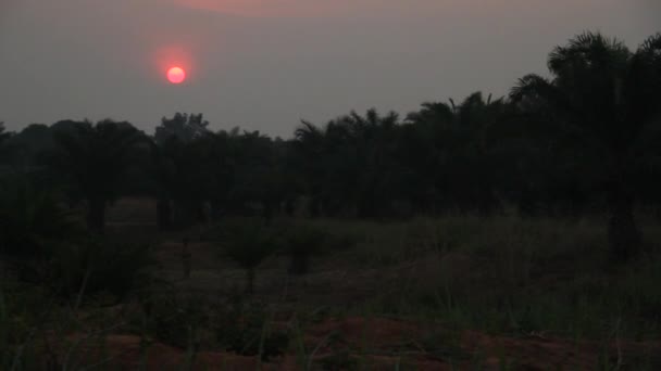 African sunset with fiery pink orb — Stock Video