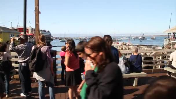 Οικογένειες στο fisherman's wharf Monterey Καλιφόρνια — Αρχείο Βίντεο